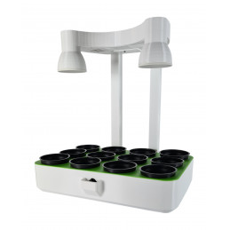 Plant growing system with...